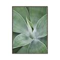 Picture of Up Close & Green _GroupedProduct_Rectangle_Portrait_Photography _GroupedProduct_Rectangle_Portrait_Canvas_Framed_