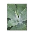 Picture of Up Close & Green _GroupedProduct_Rectangle_Portrait_Photography _GroupedProduct_Rectangle_Portrait_Canvas_Framed_