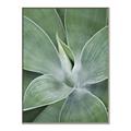 Picture of Up Close & Green _GroupedProduct_Rectangle_Portrait_Photography _GroupedProduct_Rectangle_Portrait_Canvas_Framed_