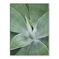 Picture of Up Close & Green _GroupedProduct_Rectangle_Portrait_Photography _GroupedProduct_Rectangle_Portrait_Canvas_Framed_