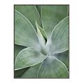Picture of Up Close & Green _GroupedProduct_Rectangle_Portrait_Photography _GroupedProduct_Rectangle_Portrait_Canvas_Framed_