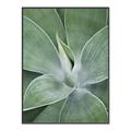 Picture of Up Close & Green _GroupedProduct_Rectangle_Portrait_Photography _GroupedProduct_Rectangle_Portrait_Canvas_Framed_