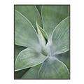 Picture of Up Close & Green _GroupedProduct_Rectangle_Portrait_Photography _GroupedProduct_Rectangle_Portrait_Canvas_Framed_