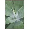 Picture of Up Close & Green _GroupedProduct_Rectangle_Portrait_Photography _GroupedProduct_Rectangle_Portrait_Canvas_Framed_