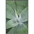 Picture of Up Close & Green _GroupedProduct_Rectangle_Portrait_Photography _GroupedProduct_Rectangle_Portrait_Canvas_Framed_