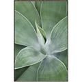 Picture of Up Close & Green _GroupedProduct_Rectangle_Portrait_Photography _GroupedProduct_Rectangle_Portrait_Canvas_Framed_