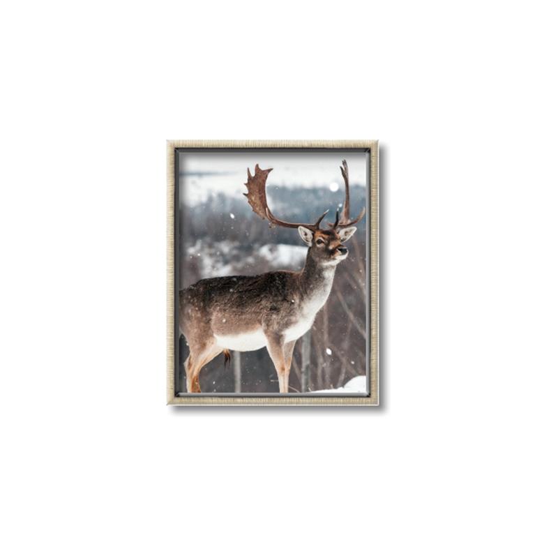 Picture of Waiting in Snow _GroupedProduct_Rectangle_Portrait_Photography _GroupedProduct_Rectangle_Portrait_Canvas_Framed_
