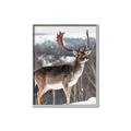 Picture of Waiting in Snow _GroupedProduct_Rectangle_Portrait_Photography _GroupedProduct_Rectangle_Portrait_Canvas_Framed_