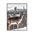 Picture of Waiting in Snow _GroupedProduct_Rectangle_Portrait_Photography _GroupedProduct_Rectangle_Portrait_Canvas_Framed_