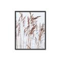 Picture of Wheat in the Wind  _GroupedProduct_Rectangle_Portrait_Photography _GroupedProduct_Rectangle_Portrait_Canvas_Framed_