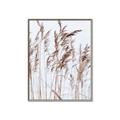 Picture of Wheat in the Wind  _GroupedProduct_Rectangle_Portrait_Photography _GroupedProduct_Rectangle_Portrait_Canvas_Framed_