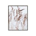 Picture of Wheat in the Wind  _GroupedProduct_Rectangle_Portrait_Photography _GroupedProduct_Rectangle_Portrait_Canvas_Framed_