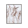 Picture of Wheat in the Wind  _GroupedProduct_Rectangle_Portrait_Photography _GroupedProduct_Rectangle_Portrait_Canvas_Framed_