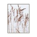 Picture of Wheat in the Wind  _GroupedProduct_Rectangle_Portrait_Photography _GroupedProduct_Rectangle_Portrait_Canvas_Framed_