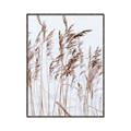 Picture of Wheat in the Wind  _GroupedProduct_Rectangle_Portrait_Photography _GroupedProduct_Rectangle_Portrait_Canvas_Framed_