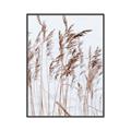 Picture of Wheat in the Wind  _GroupedProduct_Rectangle_Portrait_Photography _GroupedProduct_Rectangle_Portrait_Canvas_Framed_