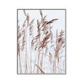 Picture of Wheat in the Wind  _GroupedProduct_Rectangle_Portrait_Photography _GroupedProduct_Rectangle_Portrait_Canvas_Framed_