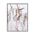 Picture of Wheat in the Wind  _GroupedProduct_Rectangle_Portrait_Photography _GroupedProduct_Rectangle_Portrait_Canvas_Framed_