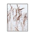 Picture of Wheat in the Wind  _GroupedProduct_Rectangle_Portrait_Photography _GroupedProduct_Rectangle_Portrait_Canvas_Framed_