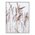 Picture of Wheat in the Wind  _GroupedProduct_Rectangle_Portrait_Photography _GroupedProduct_Rectangle_Portrait_Canvas_Framed_