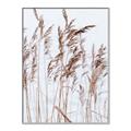 Picture of Wheat in the Wind  _GroupedProduct_Rectangle_Portrait_Photography _GroupedProduct_Rectangle_Portrait_Canvas_Framed_