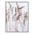 Picture of Wheat in the Wind  _GroupedProduct_Rectangle_Portrait_Photography _GroupedProduct_Rectangle_Portrait_Canvas_Framed_