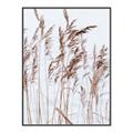 Picture of Wheat in the Wind  _GroupedProduct_Rectangle_Portrait_Photography _GroupedProduct_Rectangle_Portrait_Canvas_Framed_