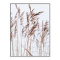 Picture of Wheat in the Wind  _GroupedProduct_Rectangle_Portrait_Photography _GroupedProduct_Rectangle_Portrait_Canvas_Framed_