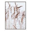 Picture of Wheat in the Wind  _GroupedProduct_Rectangle_Portrait_Photography _GroupedProduct_Rectangle_Portrait_Canvas_Framed_