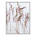 Picture of Wheat in the Wind  _GroupedProduct_Rectangle_Portrait_Photography _GroupedProduct_Rectangle_Portrait_Canvas_Framed_