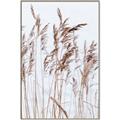 Picture of Wheat in the Wind  _GroupedProduct_Rectangle_Portrait_Photography _GroupedProduct_Rectangle_Portrait_Canvas_Framed_