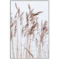 Picture of Wheat in the Wind  _GroupedProduct_Rectangle_Portrait_Photography _GroupedProduct_Rectangle_Portrait_Canvas_Framed_