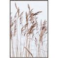 Picture of Wheat in the Wind  _GroupedProduct_Rectangle_Portrait_Photography _GroupedProduct_Rectangle_Portrait_Canvas_Framed_