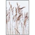 Picture of Wheat in the Wind  _GroupedProduct_Rectangle_Portrait_Photography _GroupedProduct_Rectangle_Portrait_Canvas_Framed_