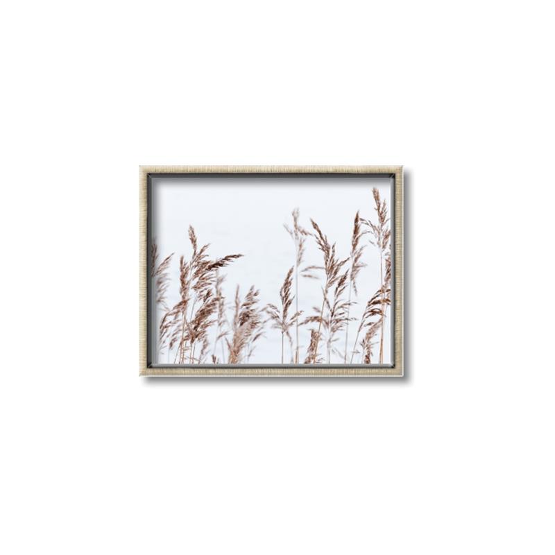 Picture of Wheat in the Wind II _GroupedProduct_Rectangle_Landscape_Photography _GroupedProduct_Rectangle_Landscape_Canvas_Framed_