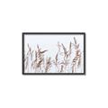 Picture of Wheat in the Wind II _GroupedProduct_Rectangle_Landscape_Photography _GroupedProduct_Rectangle_Landscape_Canvas_Framed_
