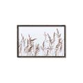 Picture of Wheat in the Wind II _GroupedProduct_Rectangle_Landscape_Photography _GroupedProduct_Rectangle_Landscape_Canvas_Framed_