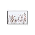 Picture of Wheat in the Wind II _GroupedProduct_Rectangle_Landscape_Photography _GroupedProduct_Rectangle_Landscape_Canvas_Framed_