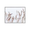 Picture of Wheat in the Wind II _GroupedProduct_Rectangle_Landscape_Photography _GroupedProduct_Rectangle_Landscape_Canvas_Framed_