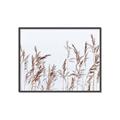 Picture of Wheat in the Wind II _GroupedProduct_Rectangle_Landscape_Photography _GroupedProduct_Rectangle_Landscape_Canvas_Framed_