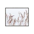 Picture of Wheat in the Wind II _GroupedProduct_Rectangle_Landscape_Photography _GroupedProduct_Rectangle_Landscape_Canvas_Framed_