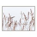Picture of Wheat in the Wind II _GroupedProduct_Rectangle_Landscape_Photography _GroupedProduct_Rectangle_Landscape_Canvas_Framed_