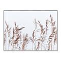 Picture of Wheat in the Wind II _GroupedProduct_Rectangle_Landscape_Photography _GroupedProduct_Rectangle_Landscape_Canvas_Framed_