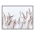 Picture of Wheat in the Wind II _GroupedProduct_Rectangle_Landscape_Photography _GroupedProduct_Rectangle_Landscape_Canvas_Framed_