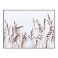 Picture of Wheat in the Wind II _GroupedProduct_Rectangle_Landscape_Photography _GroupedProduct_Rectangle_Landscape_Canvas_Framed_