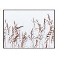 Picture of Wheat in the Wind II _GroupedProduct_Rectangle_Landscape_Photography _GroupedProduct_Rectangle_Landscape_Canvas_Framed_