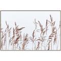 Picture of Wheat in the Wind II _GroupedProduct_Rectangle_Landscape_Photography _GroupedProduct_Rectangle_Landscape_Canvas_Framed_