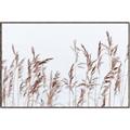 Picture of Wheat in the Wind II _GroupedProduct_Rectangle_Landscape_Photography _GroupedProduct_Rectangle_Landscape_Canvas_Framed_