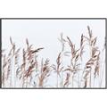 Picture of Wheat in the Wind II _GroupedProduct_Rectangle_Landscape_Photography _GroupedProduct_Rectangle_Landscape_Canvas_Framed_