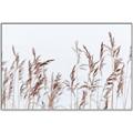 Picture of Wheat in the Wind II _GroupedProduct_Rectangle_Landscape_Photography _GroupedProduct_Rectangle_Landscape_Canvas_Framed_